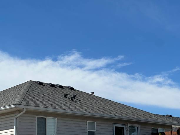 Trusted Swansea, IL Roofing Services Experts